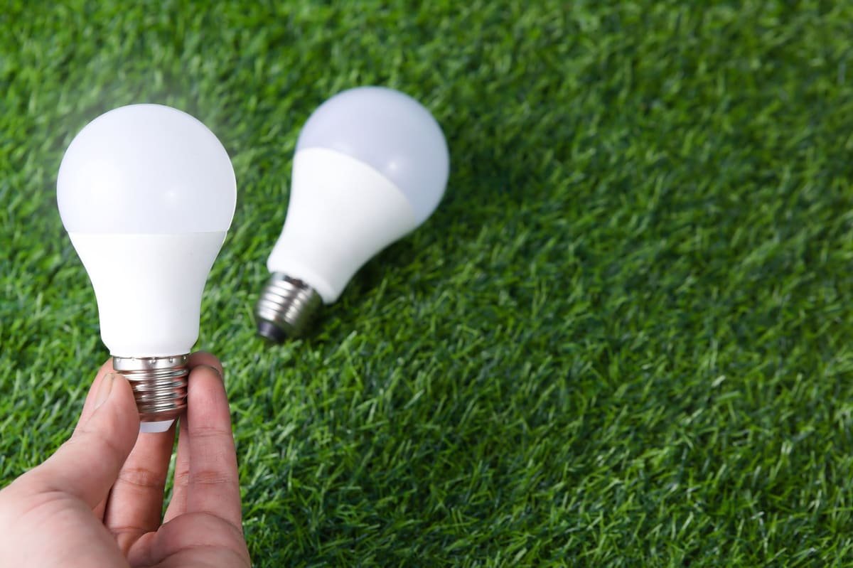 Hand holding an LED light bulb