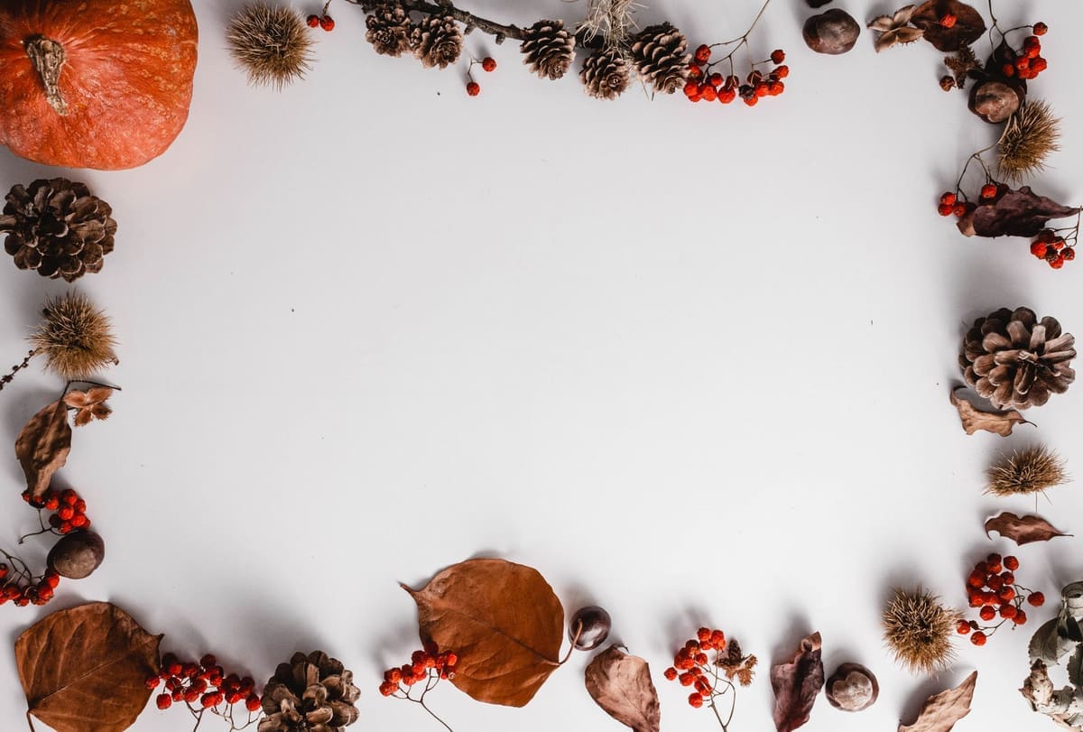 Top view of autumn elements arranged in a frame on white background.
